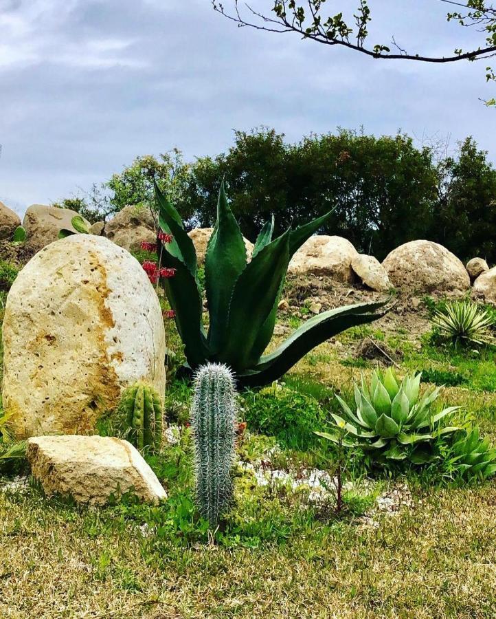 L'Incanto Di Nausicaa Ascea Luaran gambar